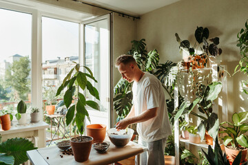 A man replunting indoor plants at home.