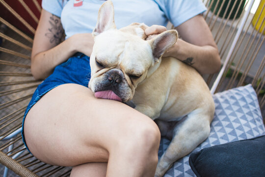 Adorable dog kisses