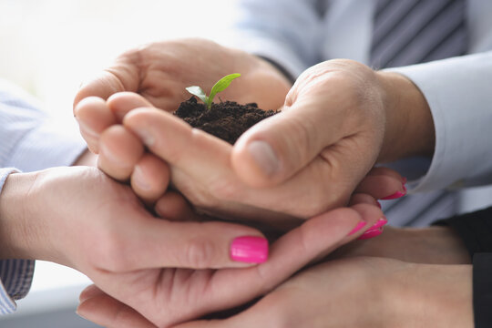 Group Of Business People Holding Earth With Small Green Plant In Their Hands Closeup