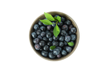 Fresh delicious blueberry isolated on white background