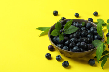 Fresh berry concept with blueberry on yellow background