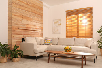 Stylish living room interior with modern comfortable sofa and plants