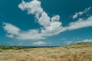  Kaena Point State Park, Oahu, Hawaii.