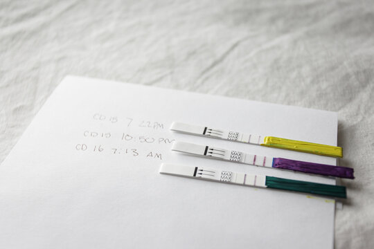 Ovulation / Pregnancy Test 