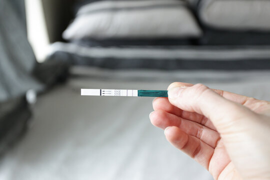 Ovulation / Pregnancy Test 