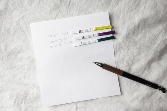 Ovulation / Pregnancy Test 