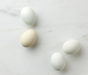 fresh raw bio eggs