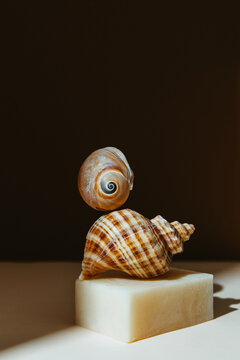 natural artisan solid soap.