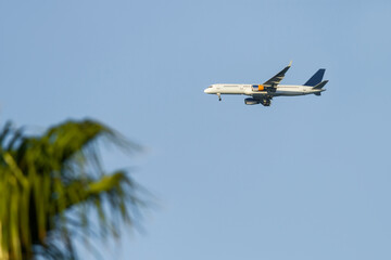 Passenger plane prepares to land in tropical country. Silhouette of flying aircraft and palm tree leaves on clear blue sky. Open boarders.