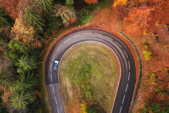U-turn, car driving on asphalt road in autumn forest, road trip in fall season