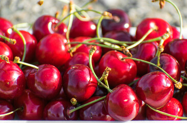 Many ripe cherries. Close up photo.
