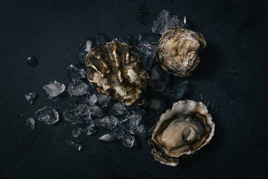Fresh oysters with ice on dark background
