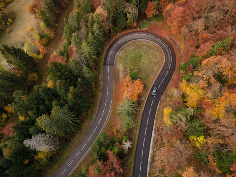 road turn, car driving on asphalt serpentine road in autumn forest, roadtrip in fall season