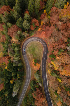 u-turn, vertical shot of road in autumn forest,  fall season
