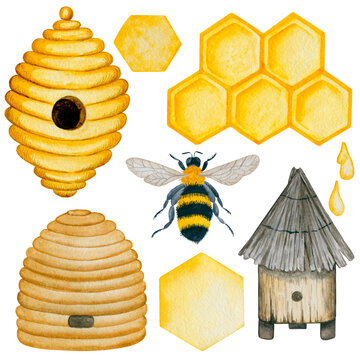 Watercolor beehives and bee illustration.  Beekeeping hand drawn clipart elements on white background. Apiculture collection. 
