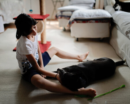 Teen and dog cuddling at home
