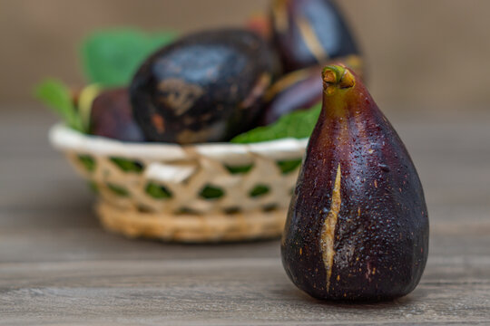 organic breba picked from the tree