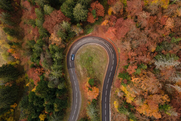car driving on asphalt road in autumn forest, road trip in fall season