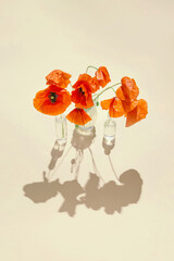 Red poppies flowers in glass vases on pastel sunlit background with shadows. Nature concept. Minimal style.