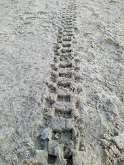 bicycle tire footprint in the sand in the daytime.