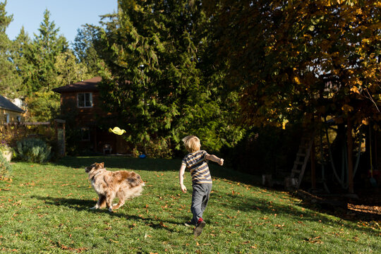 Boy throws toy for dog