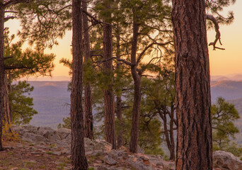 In Payson, Arizona this is known as the Mogollon Rim. The sun sets looking out over the rim, through the trees, the colorful sky paints the ledge and flowing hills, boulders and trees colorful shades 