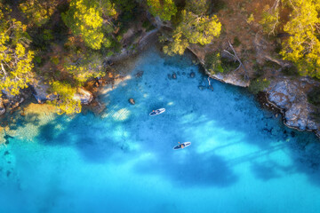 Aerial view of people on floating sup boards on blue sea, rocks, trees at sunset in summer. Blue...