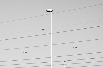 Streetlights and cables that look like a musical staff.