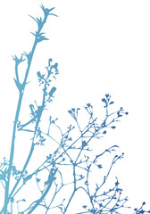 Isolated vector realistic plant, herb or twig in pastel  iridescent colors on white. Minimalist poster or card concept with delicate silhouettes of organic shapes. Modern abstract botanical artwork.