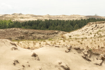 Panoramic view of sand dunes in Nida, Klaipeda, Lithuania, Europe. Curonian Spit and Curonian Lagoon. Baltic Dunes on the Baltic Sea. Unesco heritage