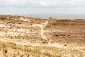 Panoramic view of sand dunes in Nida, Klaipeda, Lithuania, Europe. Curonian Spit and Curonian Lagoon. Baltic Dunes on the Baltic Sea. Unesco heritage