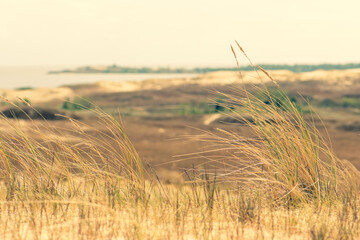 Panoramic view of sand dunes in Nida, Klaipeda, Lithuania, Europe. Curonian Spit and Curonian...