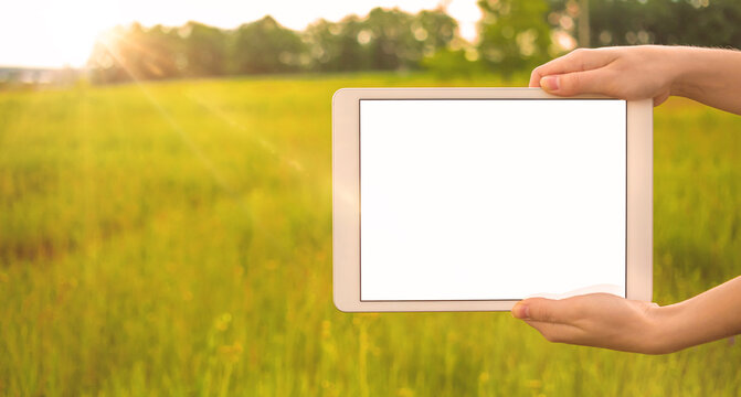 Hand with tablet screen mockup, background of sunny field, copy space photo