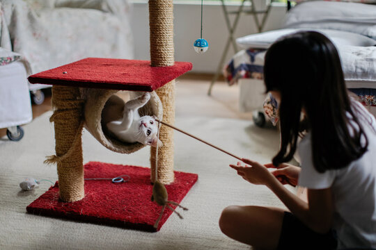 Child and cat playing indoors