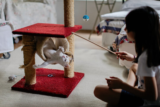 Teen and kitten playing together