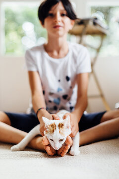 Girl forcing rebel cat in pose