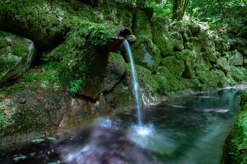 water spring in a small pond. Sintra Portugal - obrazy, fototapety, plakaty