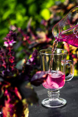 Tasty purple basil lemonade in glass ice on a dark table in the summer garden. Picnic time with cold drink on green trees background.
