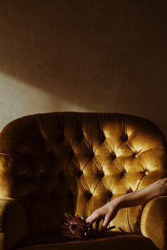 the golden armchair