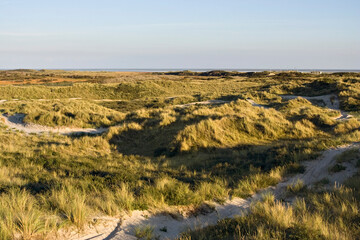 Duinen Vlieland, Nederland; Dunes Vlieland, Netherlands
