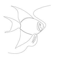 fish in continuous line, isolated, vector