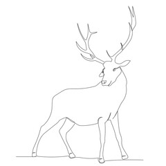 deer continuous line, isolated, vector