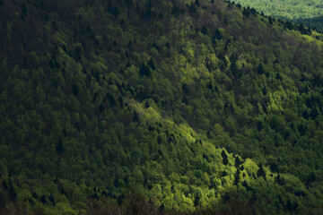 Obraz premium Bieszczany in spring.