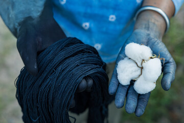 White fluffy cotton on blue hand