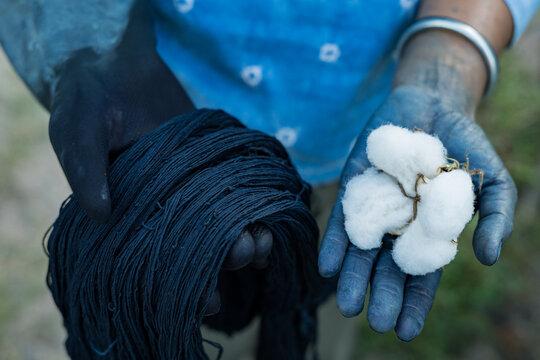 White fluffy cotton on blue hand