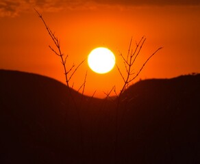 Sun silhouette