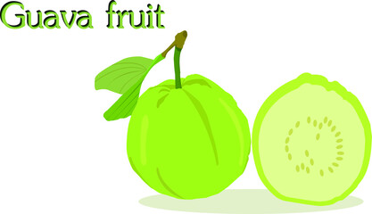 Beautiful green guava vector on a white background with the name of the fruit.