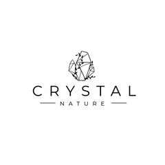 Crystal Gem Diamond With Leaves Floral Logo Vector Icon Template 