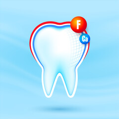Healthy strong tooth with calcium and fluor sheild. White teeth being protected. Dental care.