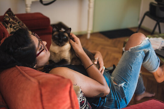 Adorable siamese cat and her owner